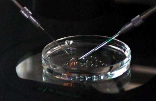 潍坊做个三代试管双胎一般多少费用?