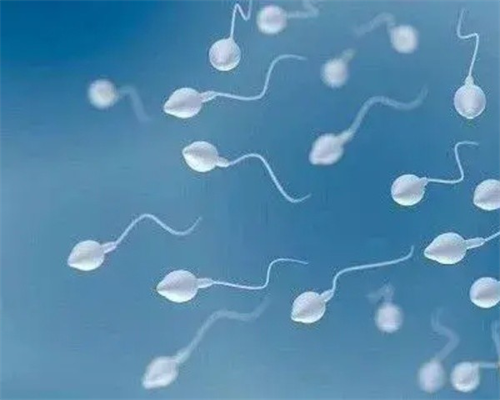 吉林卵巢发育不全影响试管移植吗?