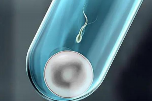 上海集爱试管婴儿代生服务三代冻胚吗