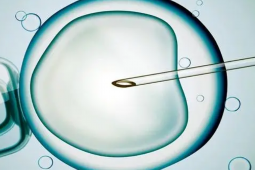 三代哪里代生比较好取6个卵数量少不少 6个卵子三代哪里代生比较好成功率高不