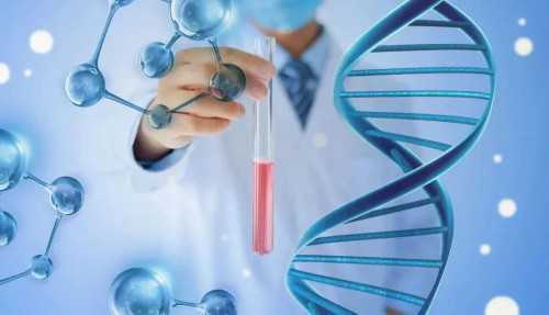 输卵管不通吃什么食疗