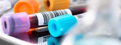 最大代生公司放一个碎片5%的b级冷冻胚胎成功率高吗？