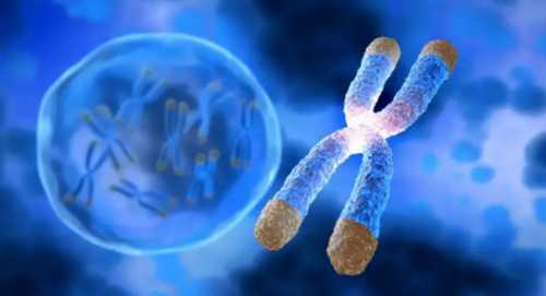 取卵后下身塞纱布止血要隔多久取出来比较好?