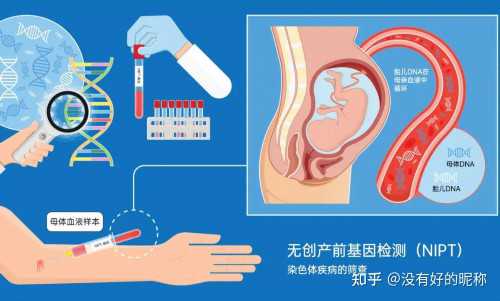 2026年广西省试管排名前十的医院是哪一家
