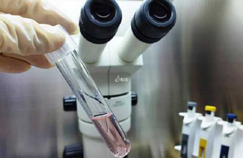 海南省三代试管婴儿费用明细表出炉，费用能报销吗？