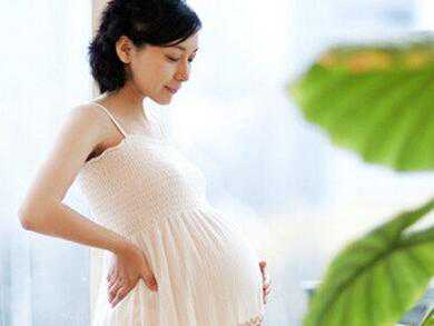 代生供卵成功率医院选择公立还是私立 代生供卵成功率医院选择公立还是私立