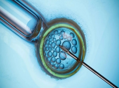 济南比较好做试管代怀网的医院是哪家？附济南试管代怀网医院推荐